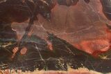 Polished Cherry Creek Jasper - China #318969-1